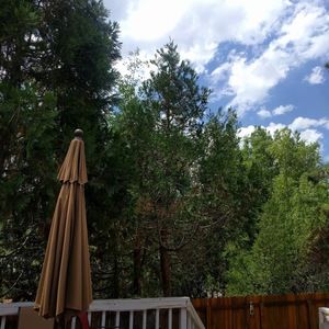 Meet your Posher, Lucia